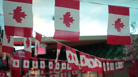A lot bunch of small mini miniature canadian paper flags hanging blowing waving Stock Footage 248714465