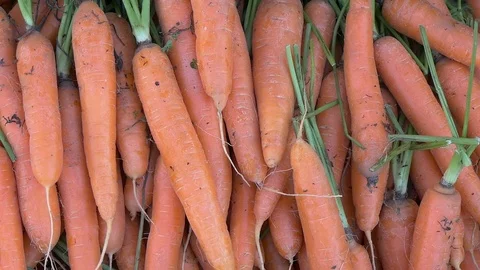 A Lot Of Carrots Stock Footage 98944198