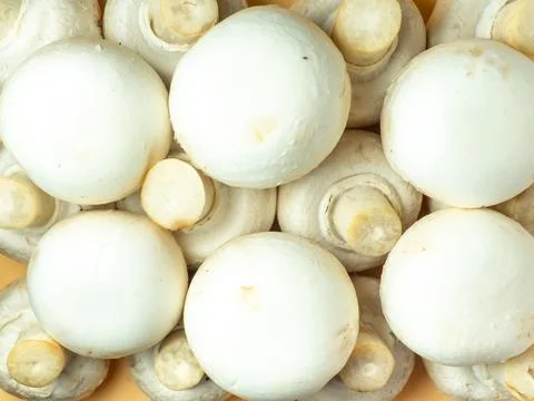 A lot of champignons on a beige background. Kitchen, table. Stock Photos