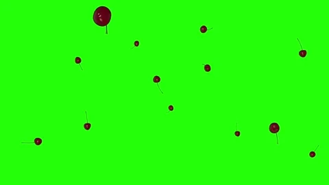 A lot of Cherry falling down on green screen background Stock Footage 322790478
