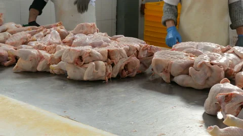 A lot of chicken meat on big table at food processing plant Stock Footage 87324535