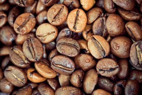 A lot of coffee beans lying Stock Photos