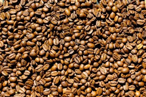 A lot of coffee beans. Stock Photos