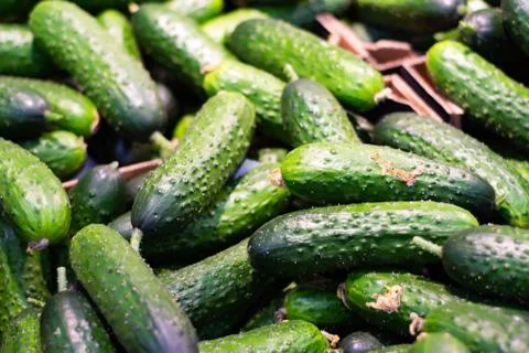 A lot of cucumbers in a box in the store. Stock Photos