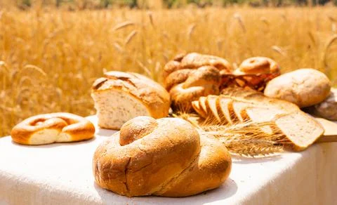 Lot of different flavored bread, wheat, rye, on the table in the field outside Stock Photos