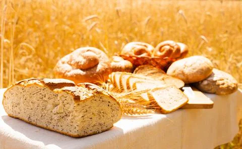 Lot of different flavored bread, wheat, rye, on the table in the field outside Stock Photos