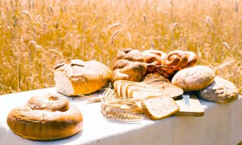Lot of different flavored bread, wheat, rye, on the table in the field outside Stock Photos