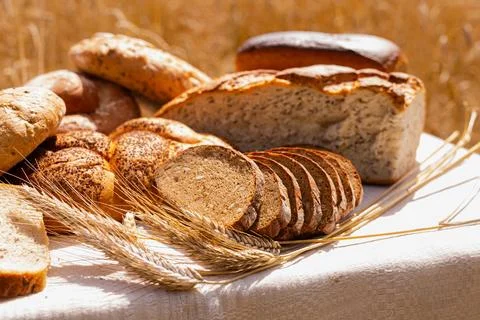 Lot of different flavored bread, wheat, rye, on the table in the field outside Stock-Fotos
