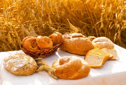 Lot of different flavored bread, wheat, rye, on the table in the field outside Stock Photos