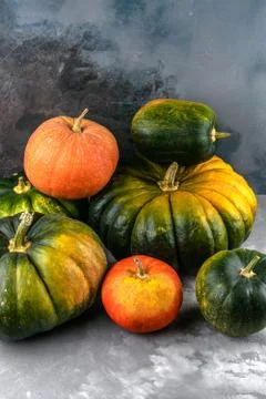 A lot of different multi-colored pumpkins on grey cement background. autumn h Stock Photos