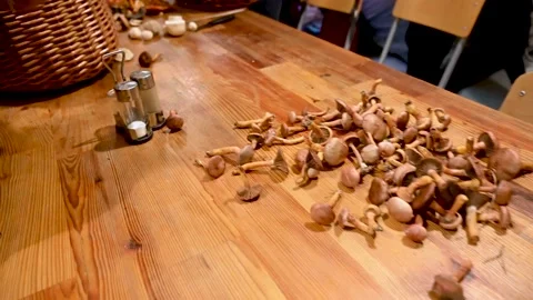 A lot of different mushrooms on the table. Stock Footage 223687049