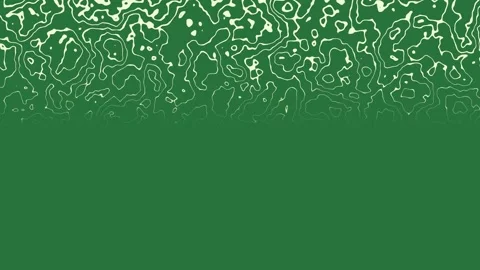 Lot of different shapes abstract pattern lots leaves flowers plants green 動画素材 335696075