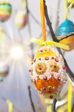 A lot of Easter eggs decorated on tree at spring sunny day Stock Photos