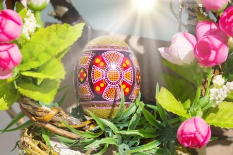 A lot of Easter eggs decorated on tree at spring sunny day Stock Photos