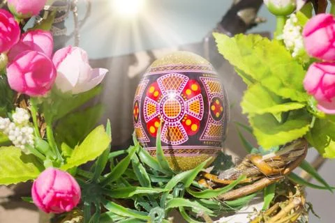 A lot of Easter eggs decorated on tree at spring sunny day Stock Photos