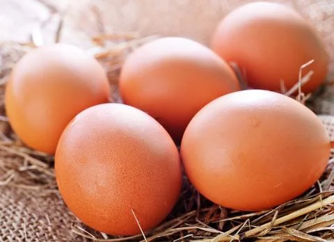 A lot of eggs in straw Stock Photos