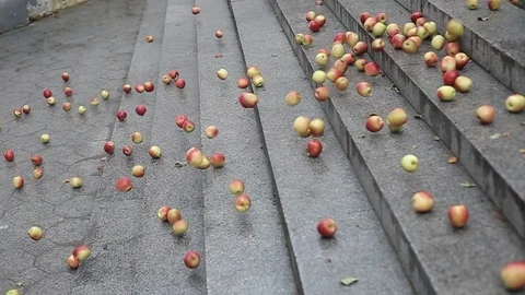A lot of falling apples. Video stock 116822972