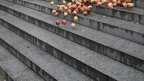 A lot of falling apples. Stock Footage 116823063