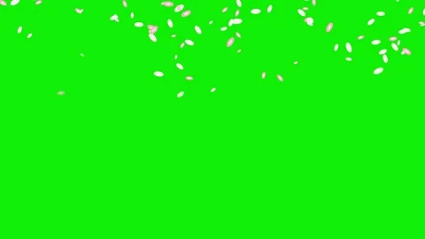 Lot Falling - Chroma Key Green Screen Footage Video stock 337045798