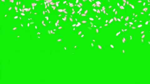 Lot Falling with Hearts on Chroma Key for Compositing Video stock 337045529