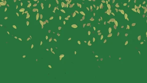 Lot of falling leaves and background lots bunch design style frame Stock-Footage 335697183