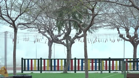 A lot of firecrackers, exploding in the mascleta, 4K Stock Footage 172205330