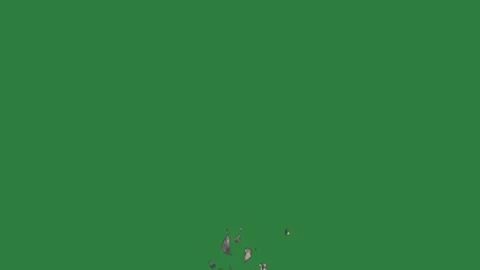 Lot Flying With Broken - Chroma Key Green Screen Footage Stock Footage 338017610