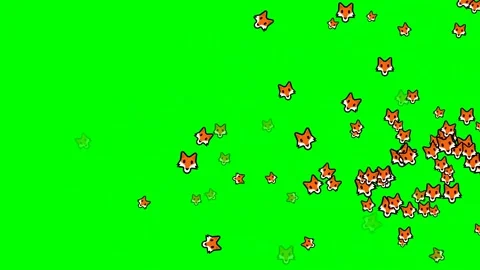 Lot Flying on Chroma Key for Compositing Video stock 337397871