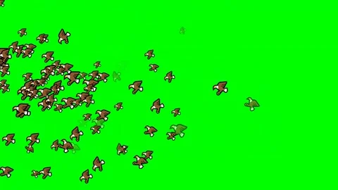 Lot Flying on Green Screen Chroma Key Background Video stock 337397858