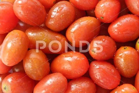 A lot of fresh tomatoes Stock Photos