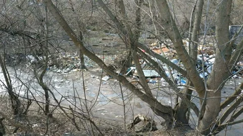 A lot of garbage falls on the ground at forest. Stock Footage 113183819