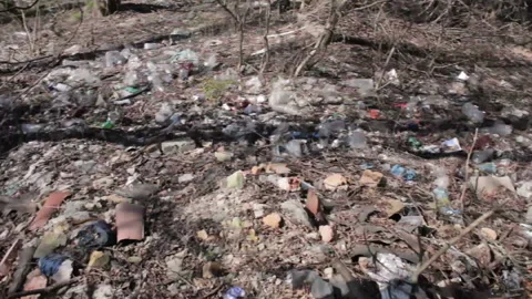 A lot of garbage falls on the ground at forest. Stock Footage 113356449