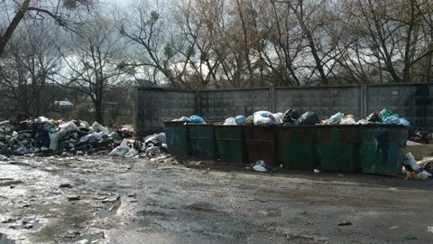 A lot of garbage falls on the ground at forest. Stock Footage 119152503
