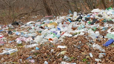 A lot of garbage in the forest Stock Footage 166455764