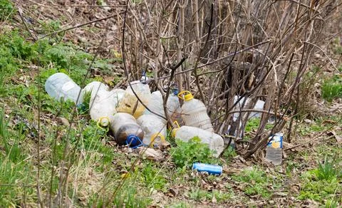 A lot of garbage in the forest Stock Photos