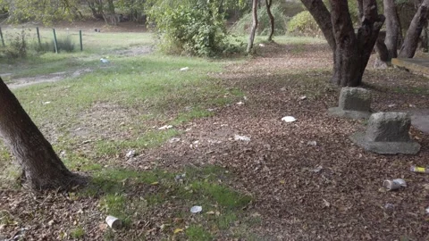 Lot of garbage, plastic bottles, plates, glasses on ground, on grass. Stock Footage 143851725