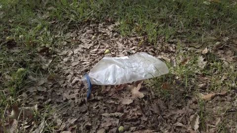 Lot of garbage, plastic bottles, plates, glasses on ground, on grass. Stock Footage 143851748