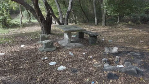 Lot of garbage, plastic bottles, plates, glasses on ground, on grass. Stock Footage 143851754