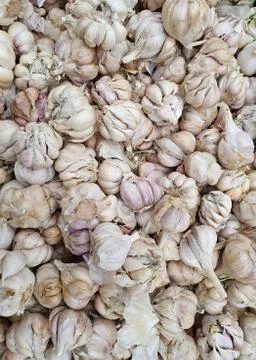 A lot of ginger 写真素材