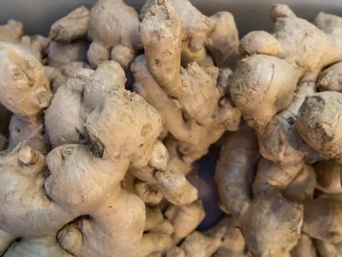 A lot of Ginger Root Stock Photos