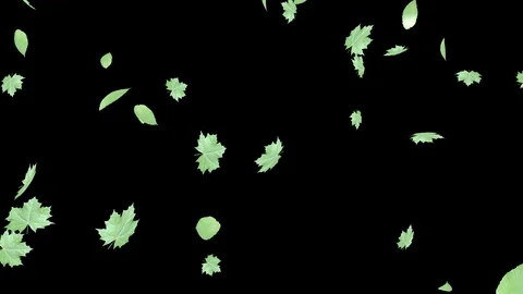 A lot of green leaves falling down. Element of scenery of nature. Stock Footage 122440147