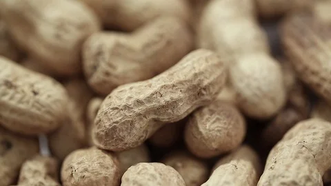 Lot of groundnut peanuts Stock Footage 88712793