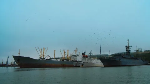 A lot of gulls are fly over the decks of sea-going ships Stock Footage 92204887