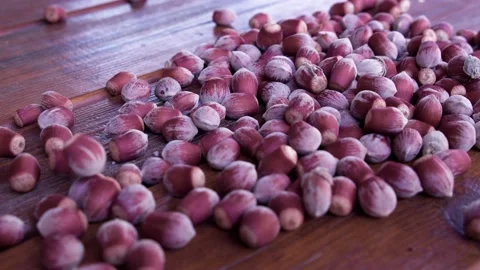 A lot of hazelnuts Stock Footage 239017001
