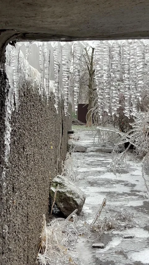 A lot of Icicles melting in the spring. Icicles dripping Stock Footage 170112620