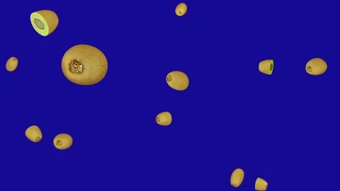 A lot of Kiwi Fruit falling down from the top on blue screen background Stock Footage 322790725