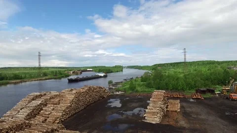 A lot of logs lying on the shore Stock Footage 145661049