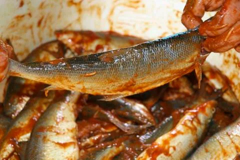 A lot of marinated fish Stockfoto's