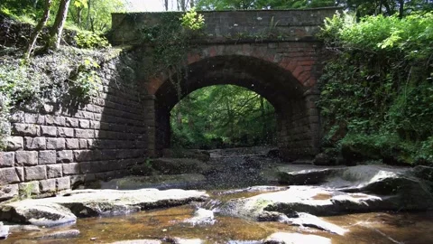 A lot of mosquitos flying in a bunch abode flowing river. Video stock 201126042