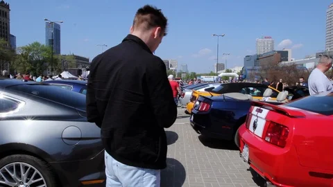 A Lot Of Mustangs Lined Up Stock Footage 88921103